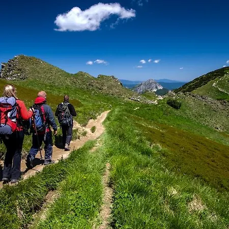 Mucha Апартаменты *