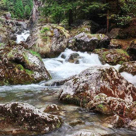 Mucha Терхова