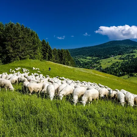 Апартаменты Mucha Терхова