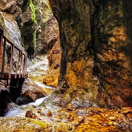 Mucha Терхова